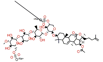 Neothyonidioside C